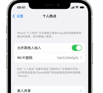 桑珠孜apple服务站点分享iPhone上个人热点丢失了怎么办 