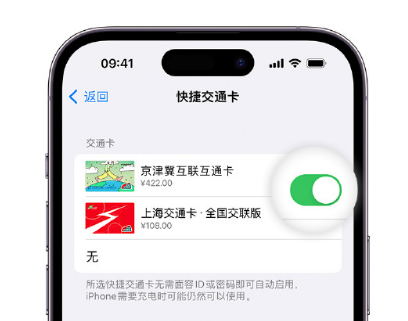 桑珠孜apple维修点分享iPhone上更换Apple Pay快捷交通卡手绘卡面 