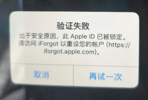 桑珠孜iPhone维修分享iPhone上正常登录或使用AppleID怎么办 