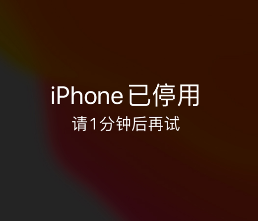 桑珠孜苹果手机维修分享:iPhone 显示“不可用”或“已停用”怎么办？还能保留数据吗？ 