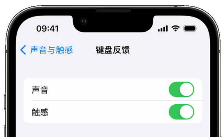 桑珠孜苹果手机维修分享iPhone 14触感键盘使用方法 