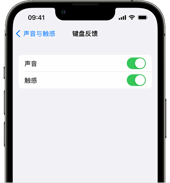 桑珠孜苹果14维修店分享如何在 iPhone 14 机型中使用触感键盘 