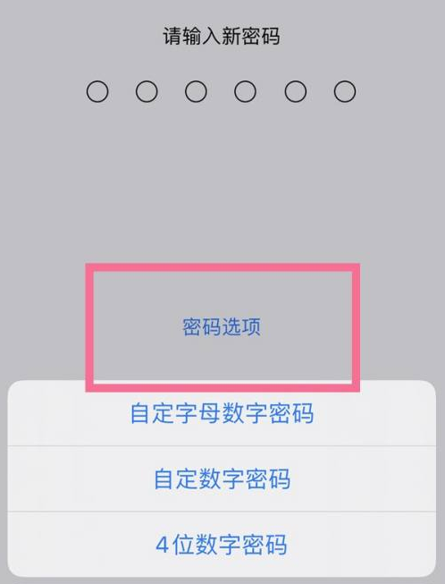 桑珠孜苹果14维修分享iPhone 14plus设置密码的方法 