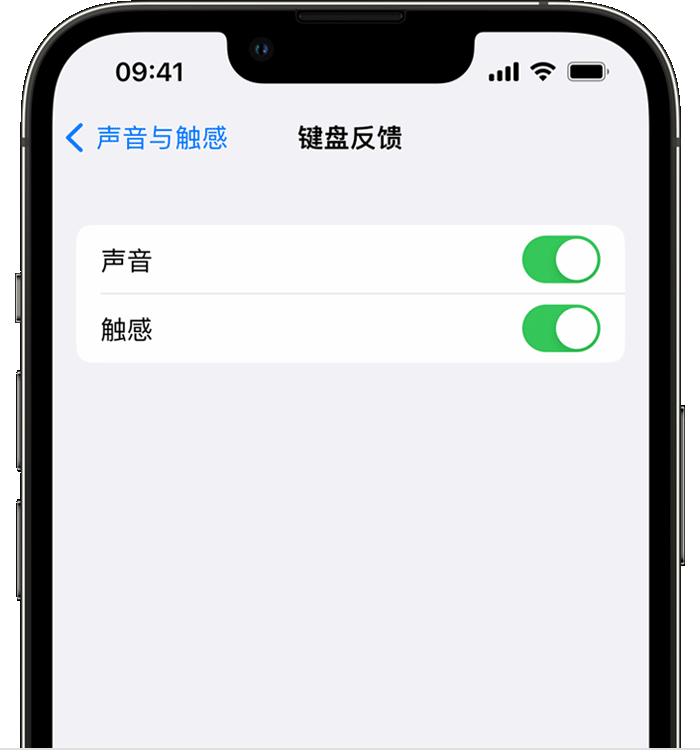 桑珠孜苹果14维修分享iPhone 14 系列机型如何开启键盘声音或触感反馈 