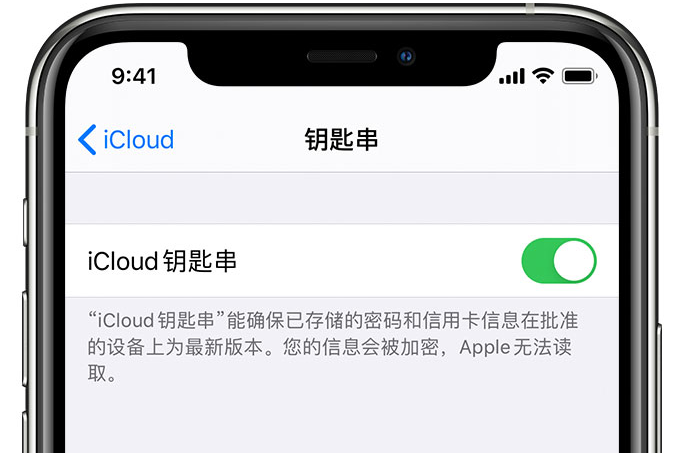 桑珠孜苹果手机维修分享在 iPhone 上开启 iCloud 钥匙串之后会储存哪些信息 