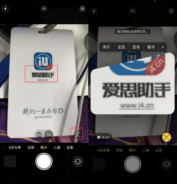 桑珠孜苹果手机维修分享升级iOS 16后如何通过相机翻译文本 