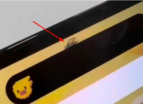 桑珠孜苹果14维修分享iPhone 14 Pro Max灵动岛怎么养宠物 