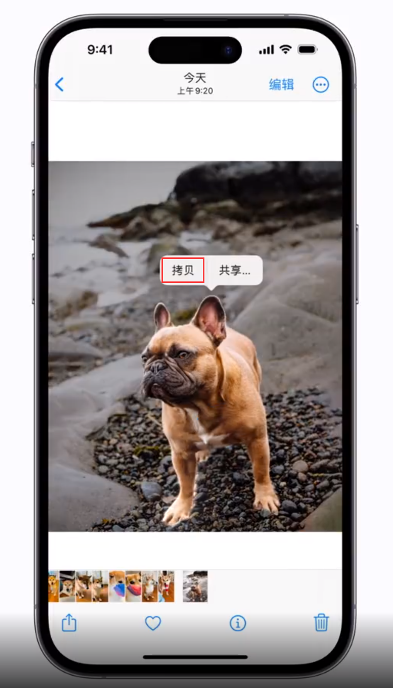 桑珠孜苹果手机维修分享 iOS 16 自带一键抠图功能 