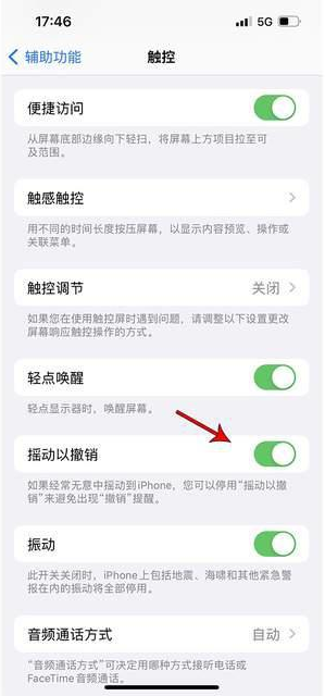 桑珠孜苹果手机维修分享iPhone手机如何设置摇一摇删除文字 
