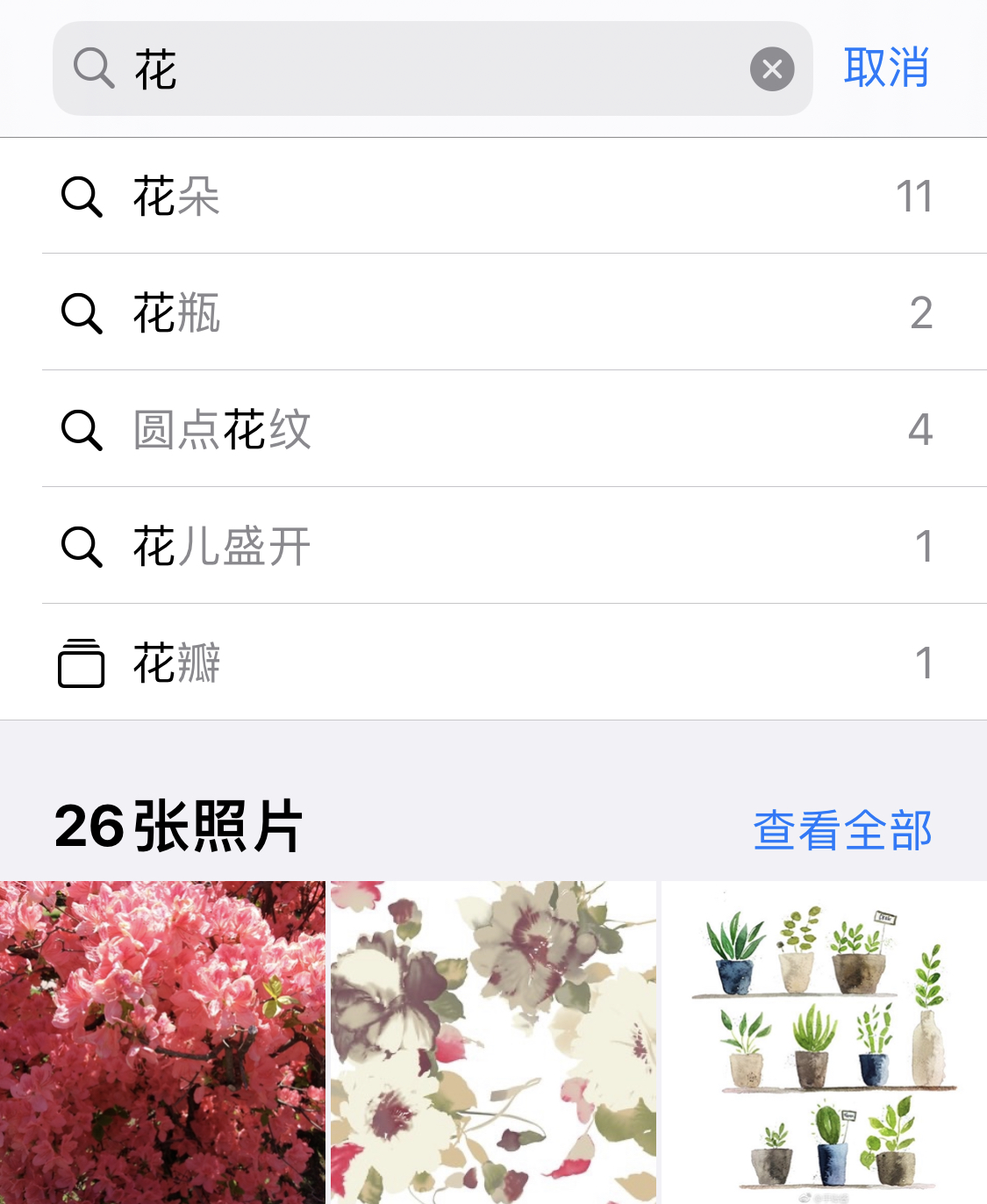 桑珠孜苹果手机维修分享iPhone 小技巧 