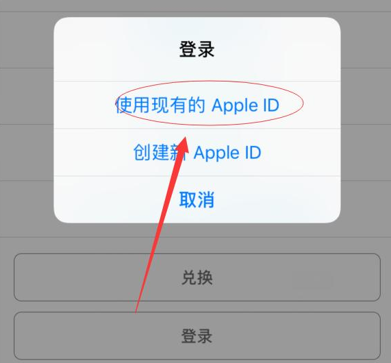 桑珠孜苹果手机维修分享两台iPhone设备可以同时登录一个Apple ID吗 